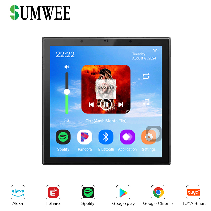 Home WIFI Smart Audio Wall Amp - Audio Music Background Free 评论和价格